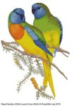 (image for) RSBL Parakeet Splendid